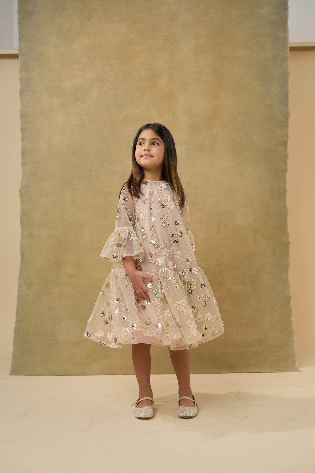 Gold Embroidered Sequin Mesh Dress