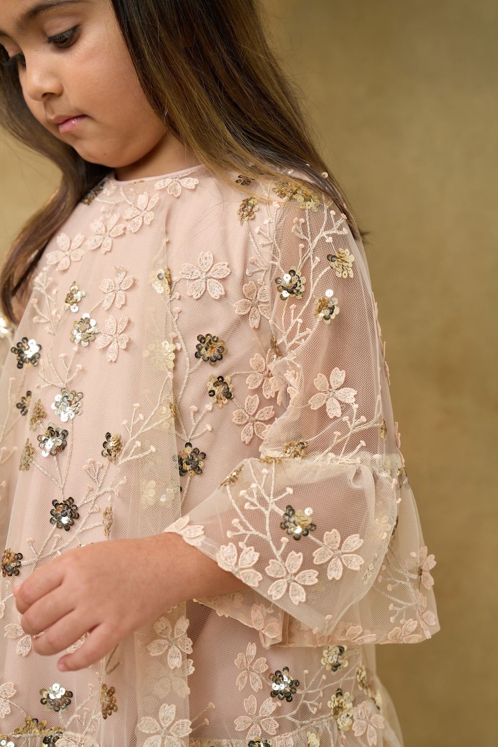 Gold Embroidered Sequin Mesh Dress