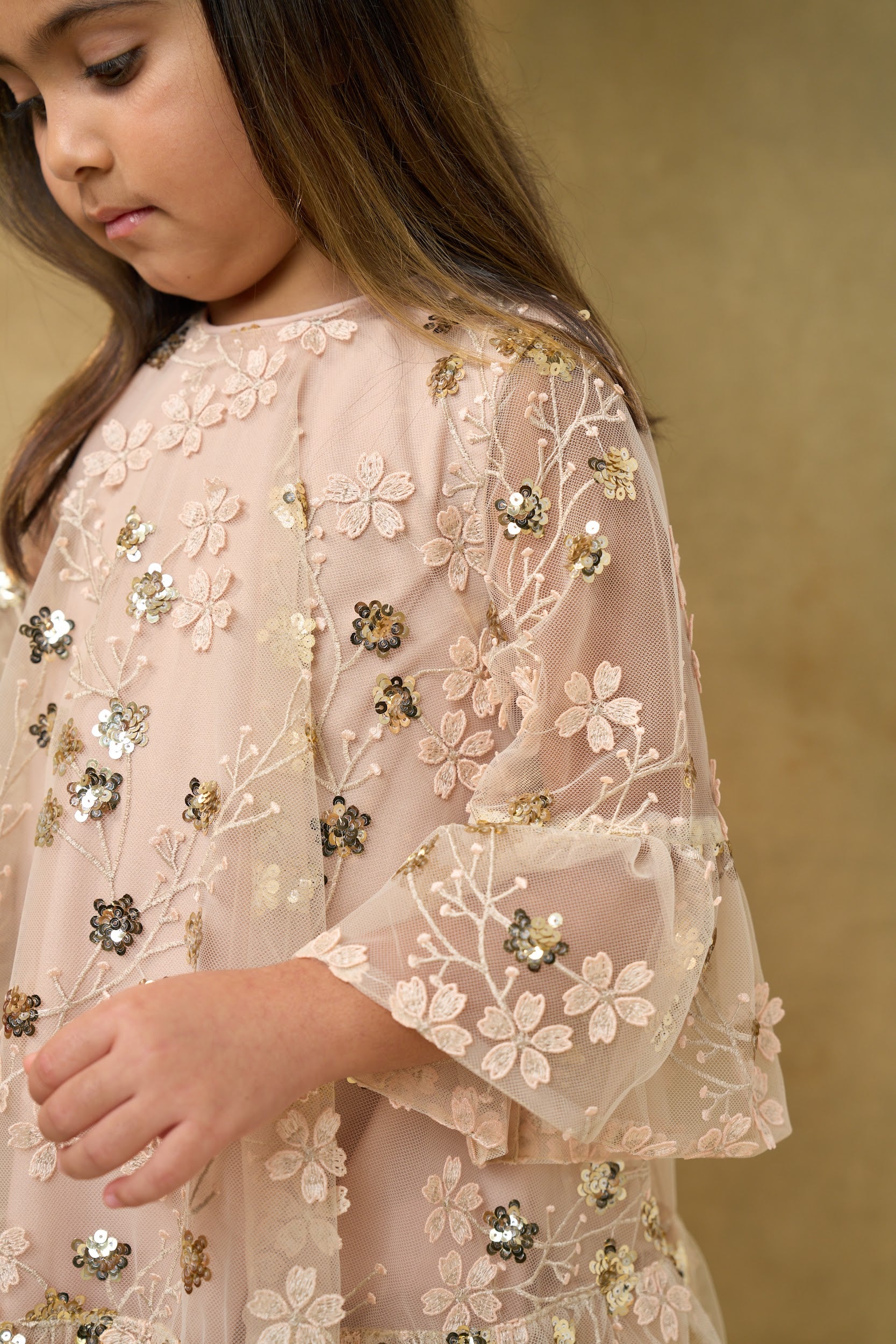 Gold Embroidered Sequin Mesh Dress
