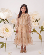 Gold Embroidered Sequin Mesh Maxi Co ord